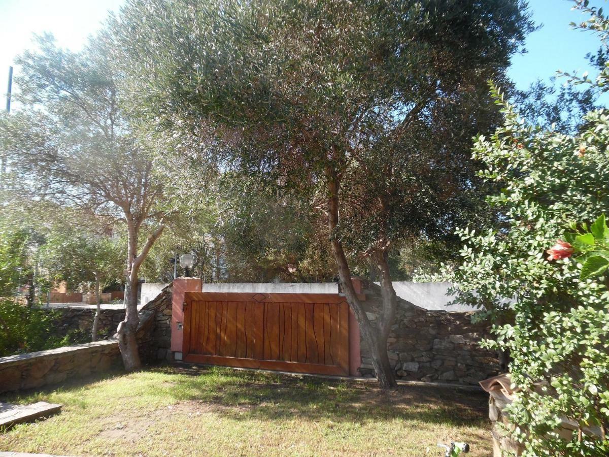 Villa Maestrale Olbia Zewnętrze zdjęcie